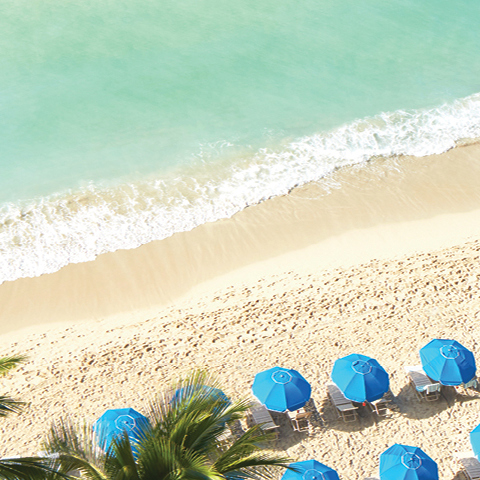 COVID safe travel tips