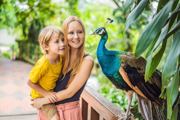 Honolulu Zoo
