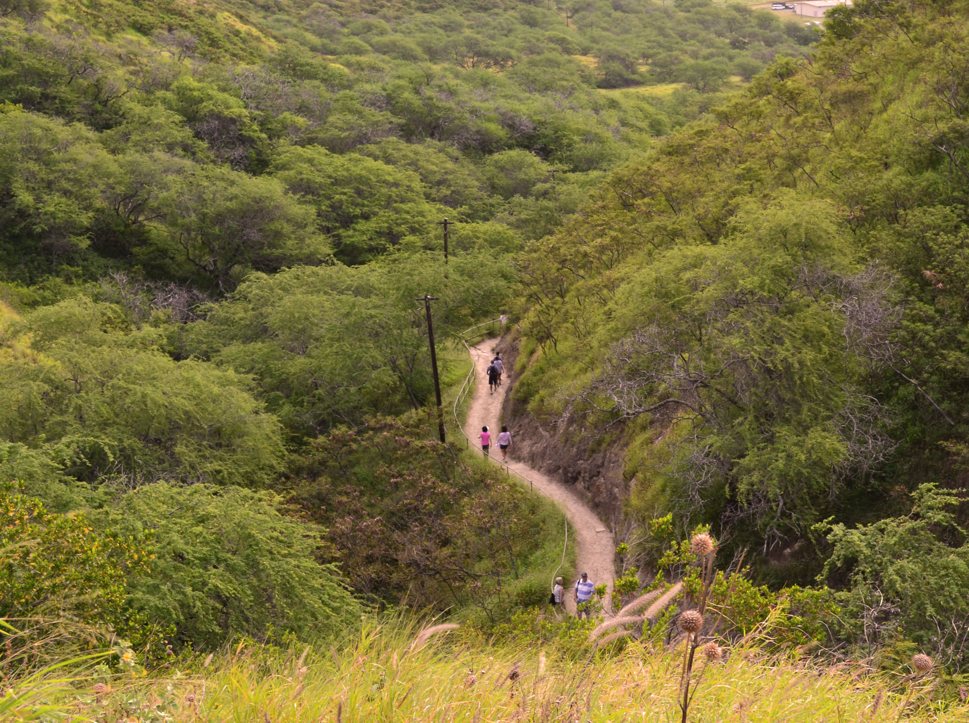 Trail going to the summit of Diamond Head