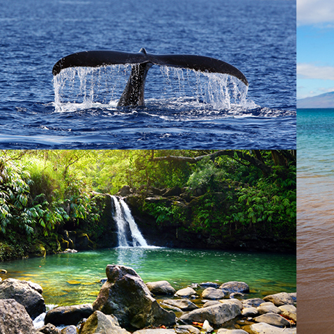 Top 5 Ways to Enjoy Maui
