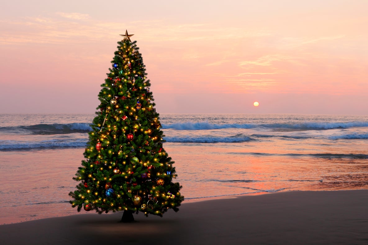 Christmas tree on the beach