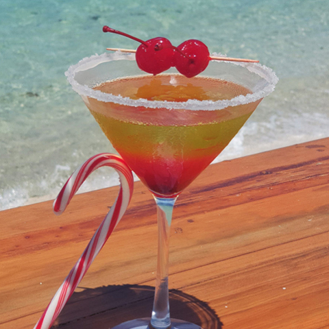 Fiji Holiday Cocktail recipes