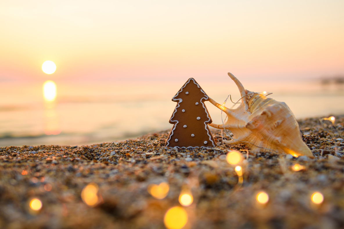 Christmas tree gingerbread cookie on beach