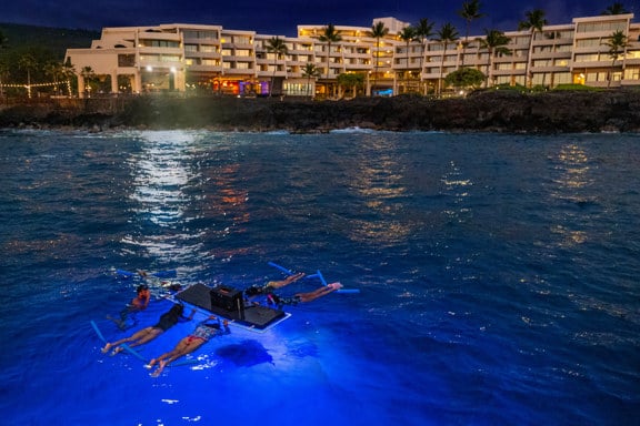 Manta Ray Dive at OUTRIGGER Kona Resort & Spa